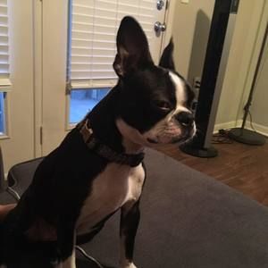 Meet your Posher, Bret